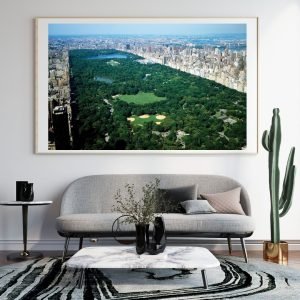 Aerial view of Central Park