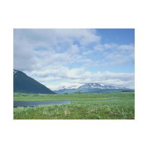 Alaska Summer Scenery
