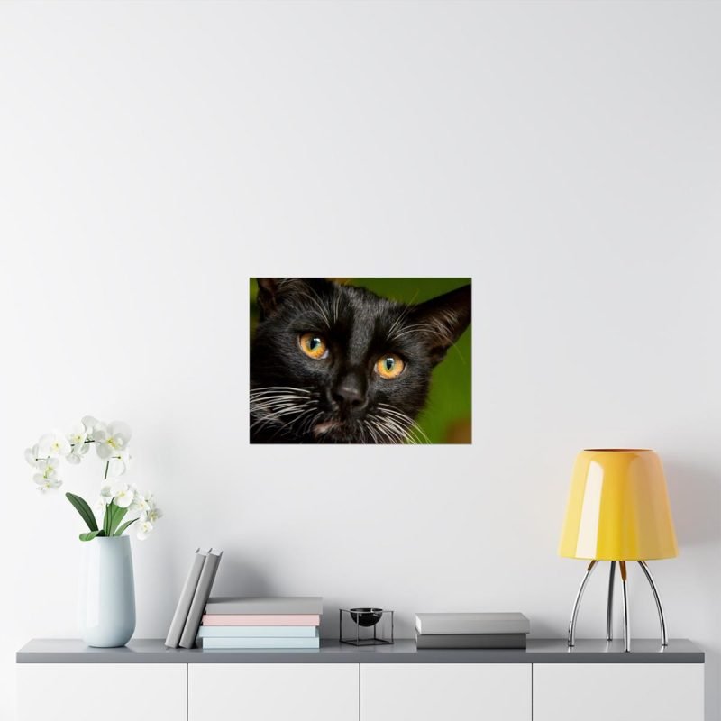 Black Tomcat Face poster