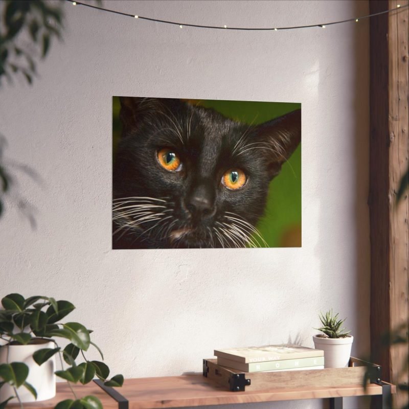 Black Tomcat Face wall decor