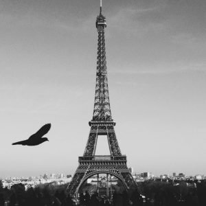 Black White Eiffel Tower