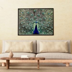 Blue And Green Peacock