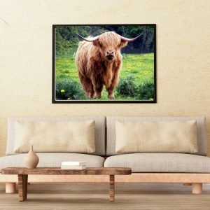 Brown Hairy Highland Bull