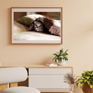 Cat Hiding Under Blanket