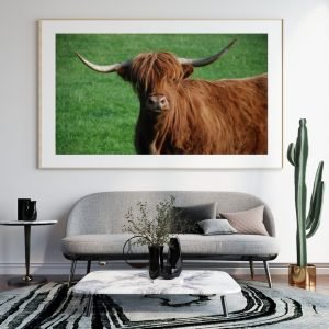 Extra Large Highland Cow