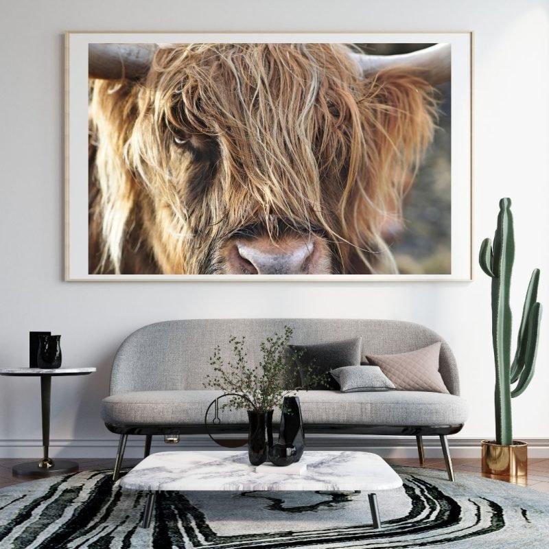 Highland Cow Head Close Up Poster