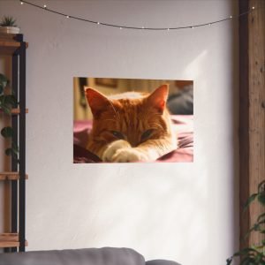 Orange Ginger Cat poster