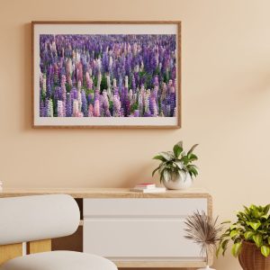 Pink Purple Lupine Flowers Fields