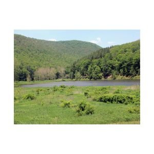 Pond scenery Pennsylvania