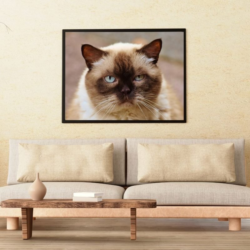 Brown White Ragdoll Cat Print - Image 2
