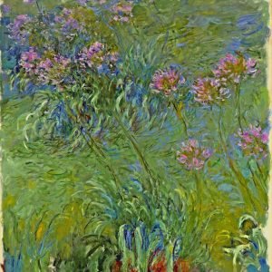 Monet Agapanthus Print