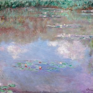 Reflections of Clouds on the Water Lily Pond