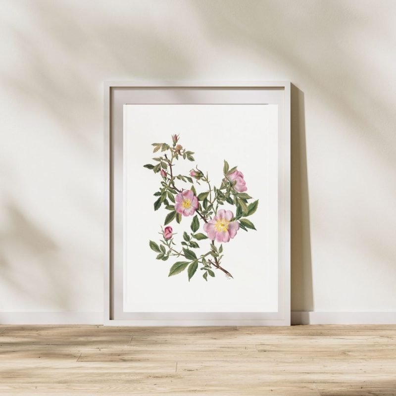 Rose Mallow Purple Art Print - Image 2