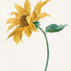 Retro Botanical Sunflower with Branch