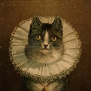 The Widow Cat Frederick Dielman