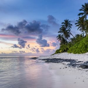 Tropical Beach During Sunset
