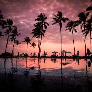 Tropical Pink Sunset Negombo Beach