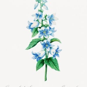 Vintage Bluebell Flower
