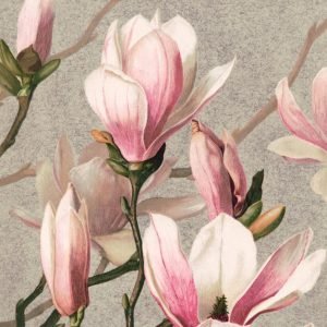 Vintage Pink Magnolia Painting