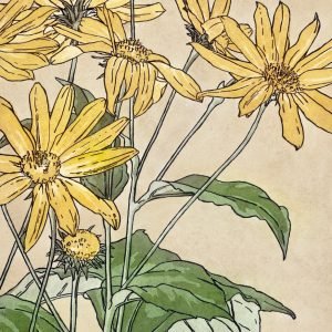 Vintage Sunflowers by Hannah Borger