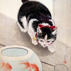 Cat and Goldfish Bowl Ohara Koson