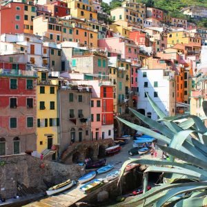 Cinque Terre Travel Poster Coast and Houses
