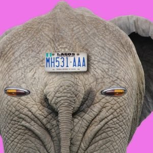 Elephant with Car Number Plate