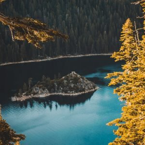 Lake Tahoe and Forest