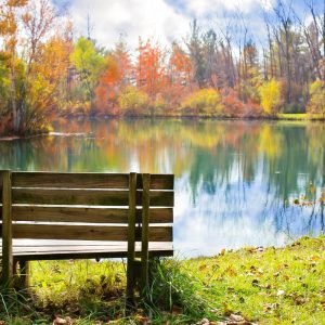 Lake and Forest view in Autumn