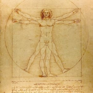Leonardo da Vinci Vitruvian Man