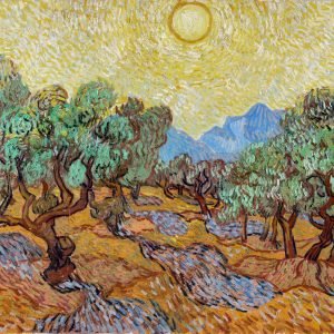 Olive Trees with Yellow Sky and Sun Vincent Van Gogh