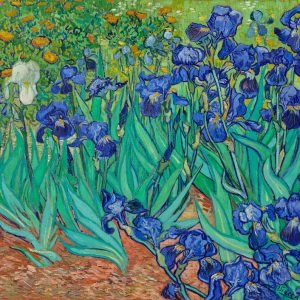 Vincent Van Gogh's Irises Painting