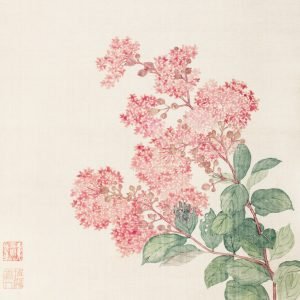 Vintage Pink Hydrangea Flower illustration