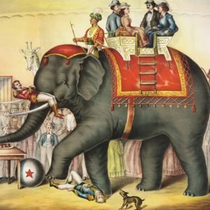 Vintage circus Performing elephant illustration