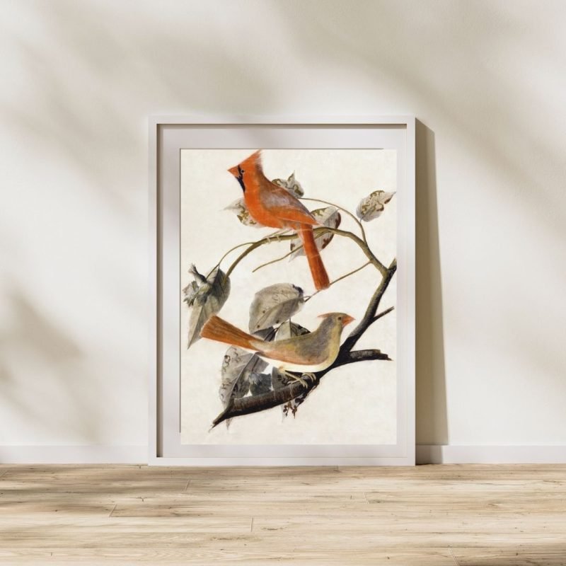 Cardinal Grosbeak Birds by John James Audubon Poster