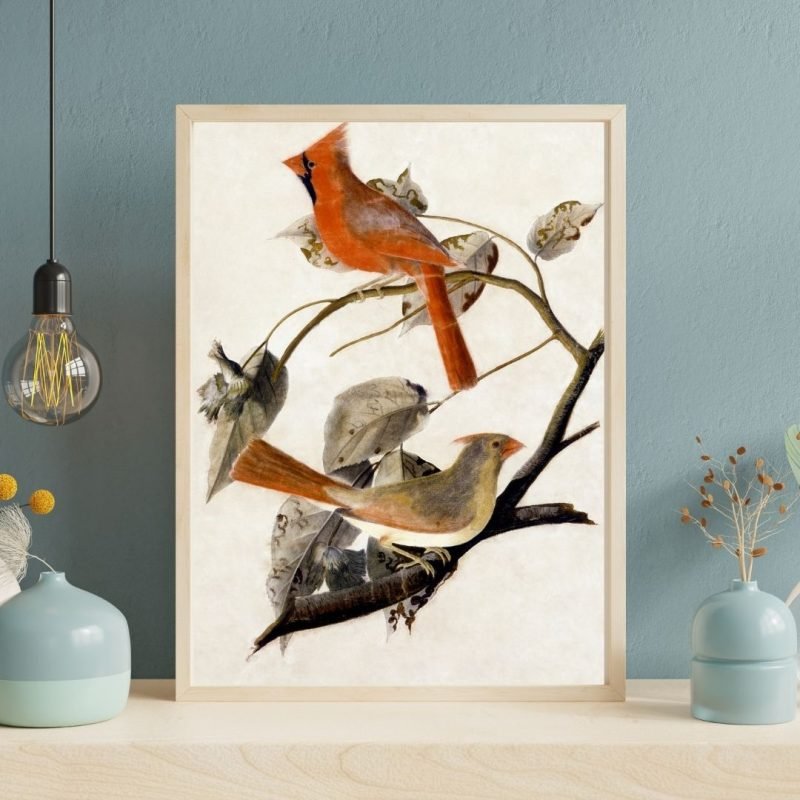 Cardinal Grosbeak Birds by John James Audubon Wall Art