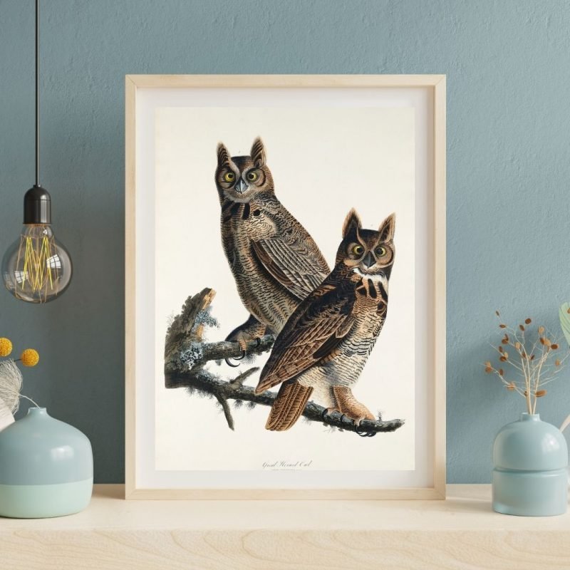 Great Horned Owl Print Audubon Wall Art