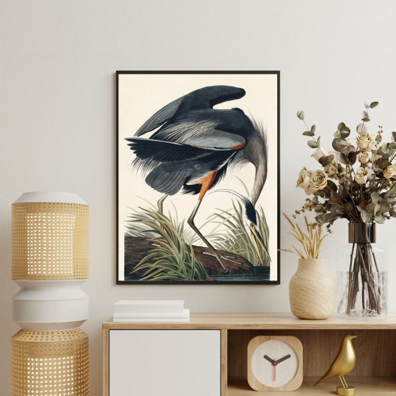 Great blue Heron Print John James Audubon Canvas