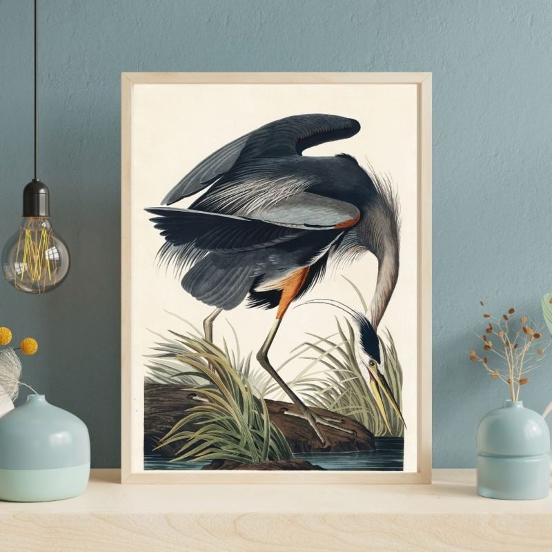 Great blue Heron Print John James Audubon Wall Art