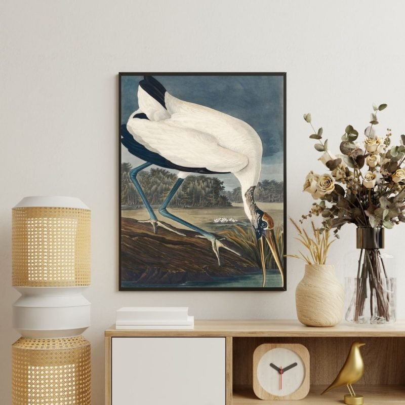 Wood Stork Bird Print John James Audubon Canvas