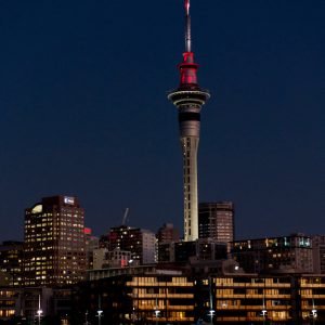 Auckland Night Light Sky Tower Poster