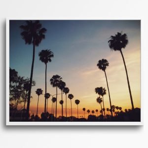 Evening Sky Palm Tree Poster
