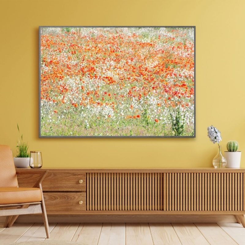 Field of White and Red Poppies Canvas Print