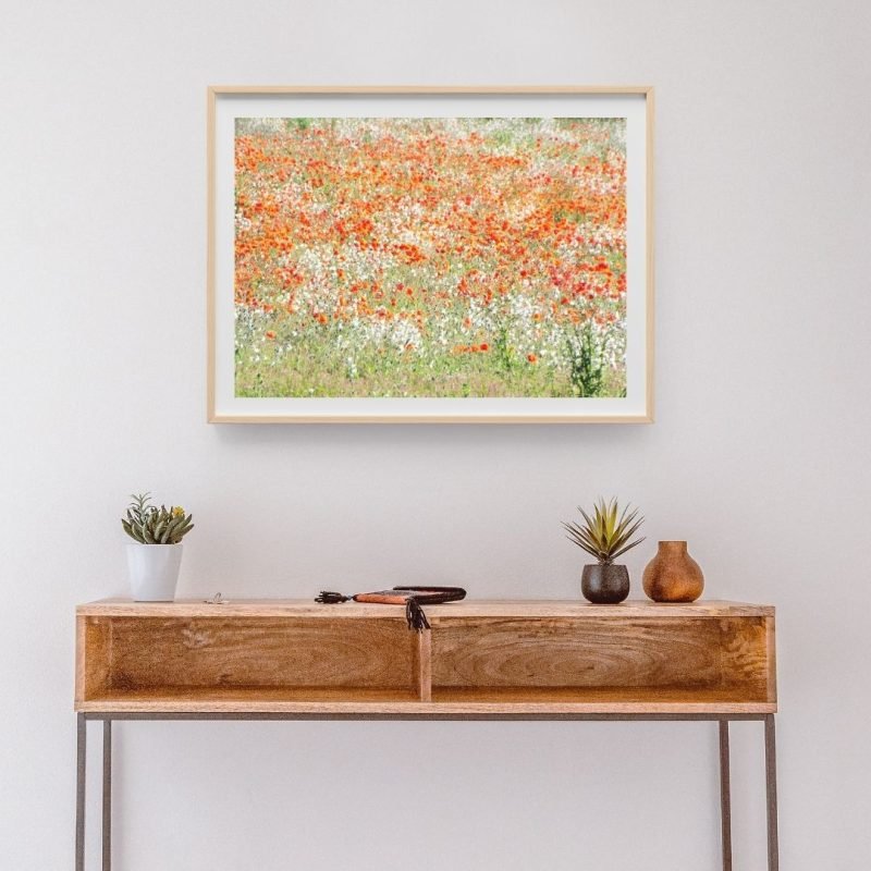 Field of White and Red Poppies wall art Print