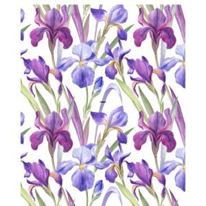 Florance Flower Market Poster
