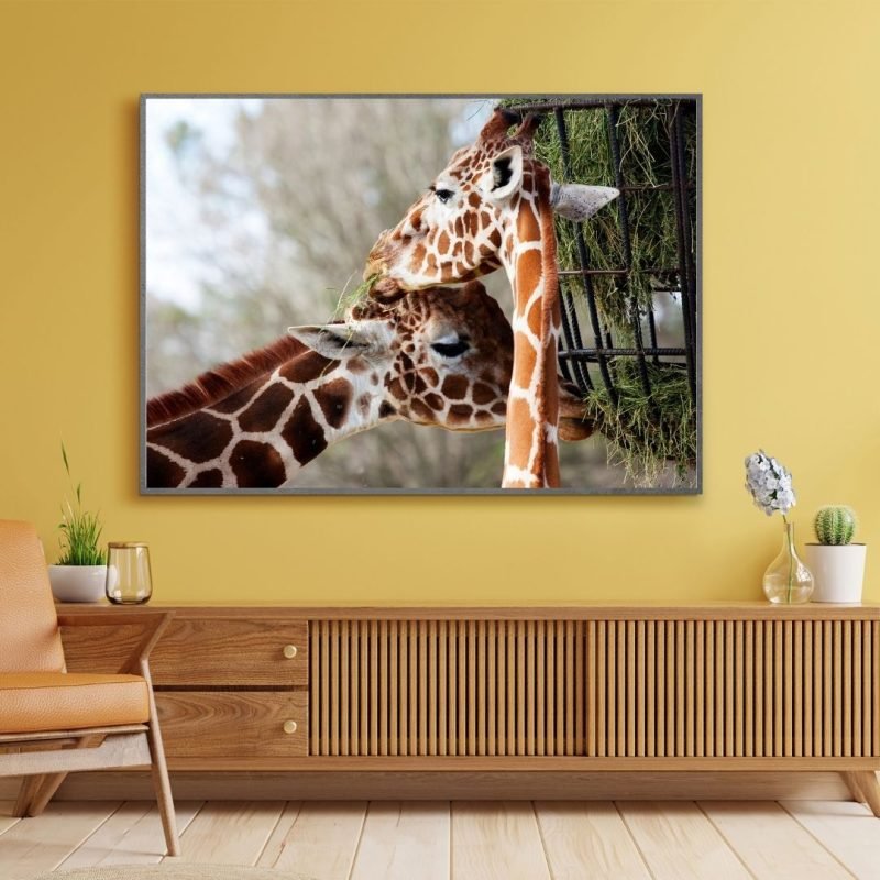 Giraffe Couple Poster print
