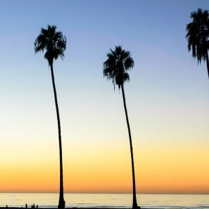 Palm Tree with Sunset Beach Poster