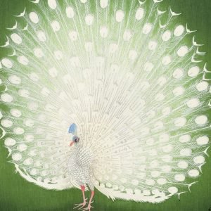 Peacock Print Ohara Koson
