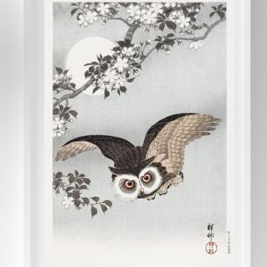 Scops Owl Cherry Blossoms and Moon Print Ohara Koson