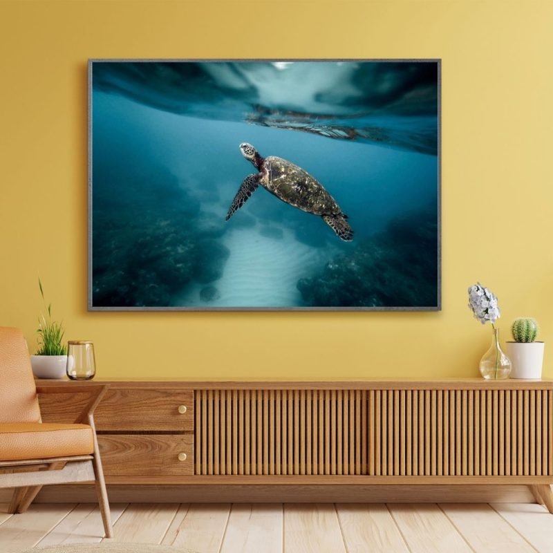 Sea turtle Swimming Ocean Poster Canvas